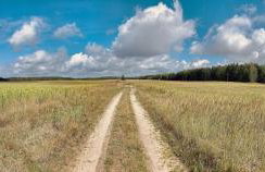 Zielony domek Drzewoszewo - Foto 36