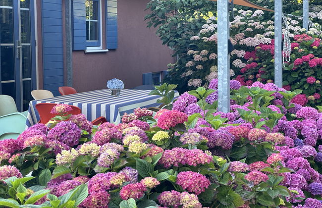 5 bedroom House in Stavoren with garden and terrace - Photo 13