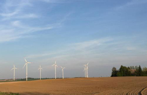 Ferienhaus Biene - Photo 62