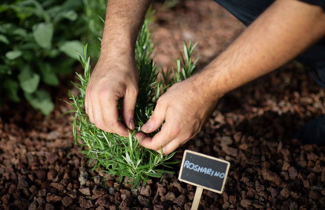 Resort Limax Acis - Photo 27