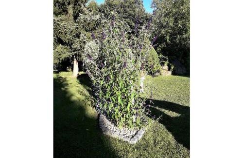 Gerda's Ferienhäuser - Foto 25