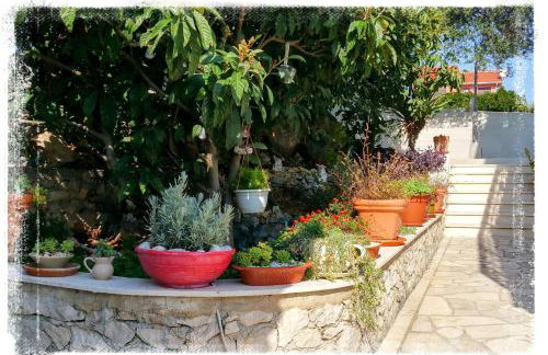 Apartments T&M - Foto 41