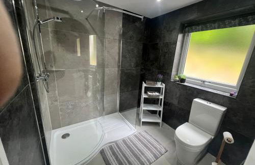 Llwynblyfyn - Foto 37