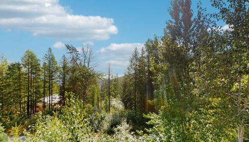 Mogul Hill Cabin - Photo 5