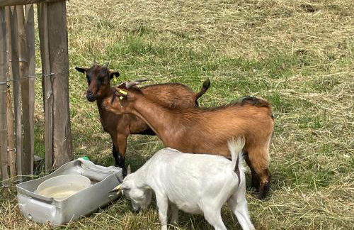 Villa Fleurie - Foto 34