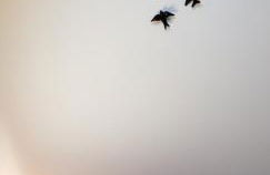 Trajadinha - Casa da Travessa - Foto 12