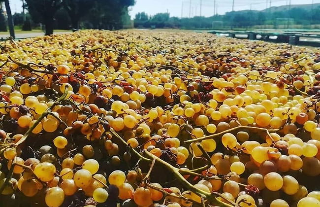 Agriturismo Nereide Ceratti - Foto 36