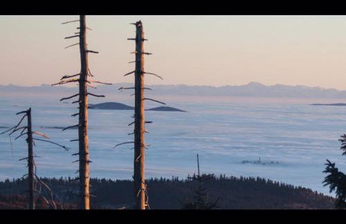 Ferienwohnung BEER - Photo 13