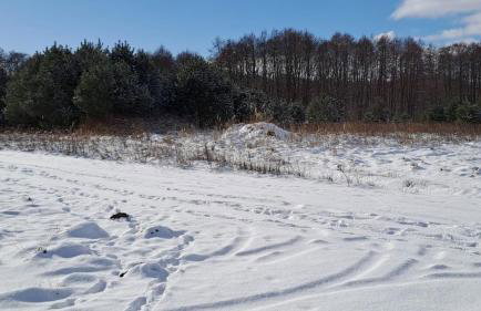 Ferienhaus Diana mit Sauna und Whirlpool Polnische Ostsee - Photo 47