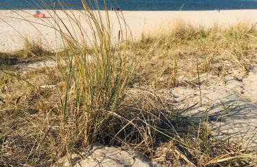 Aquamarina Onyx Blue - Foto 33