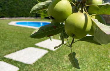 Casa do Albano - Photo 79