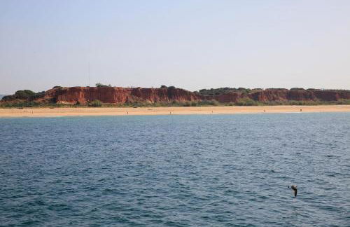 Casa Laranjinha - Foto 12