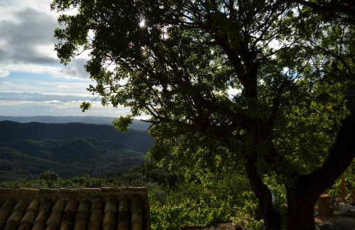 Castelli Olive Press - Foto 14