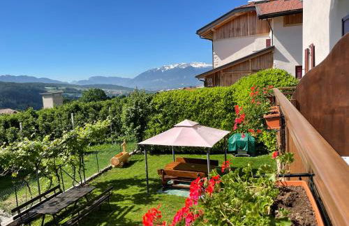 Agriturismo La Canonica - Photo 36