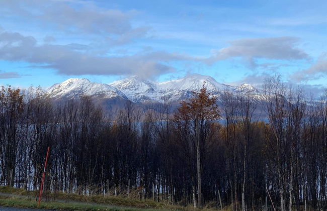 8 Person Holiday Home in Svensby - Foto 29