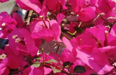 Casa Relax Diano Castello - Foto 13