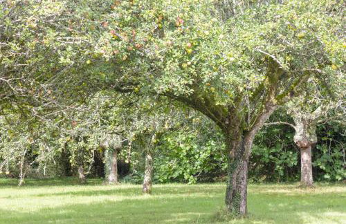 Appartement 100m2 Vilvic vue mer - Foto 24