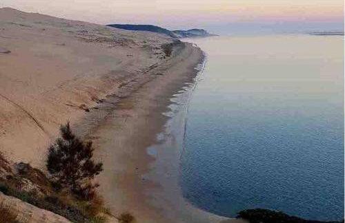 La cabane de Carol au coeur du bassin d'Arcachon - Foto 32
