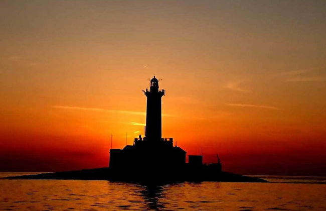 Avistamento de golfinhos ao entardecer - Foto 3