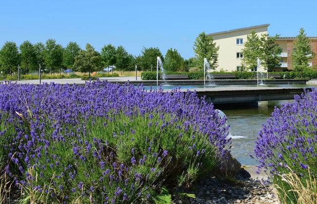 MyHome Olching - Foto 15