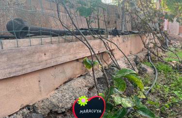 CASA GRANDE FINCA EL CALABRES - Foto 51