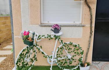 Valle Paraiso - Foto 3