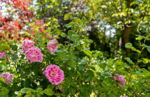 Foxhole Cottage - Foto 49