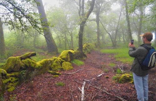 Miradouro da Branda - Foto 7