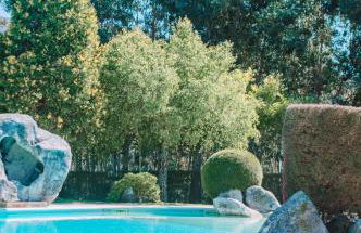 Just like Home - Number 8 em Quinta das Mineirinhas - Foto 33