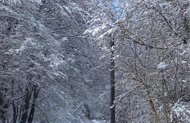 Casa Monte Zebio - Foto 25