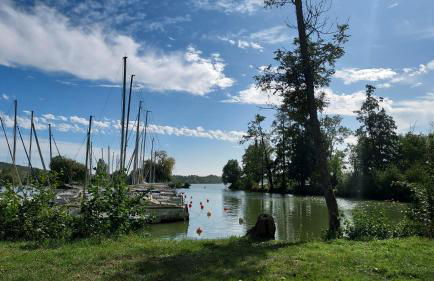 Charmante Villa près de Paris - Foto 15