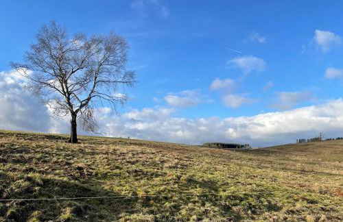 Harzhaus Drei Hexen - Foto 61