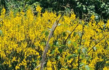 HolidayHome Manetta tra Mare e Natura - Photo 62