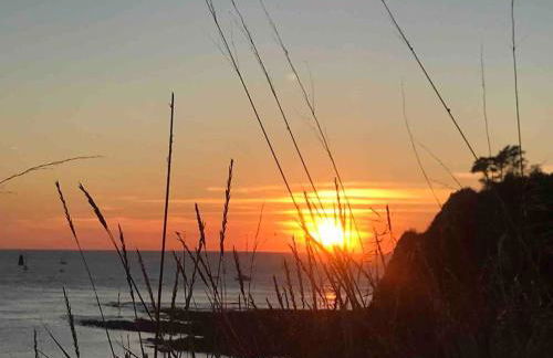 Appartement L Hippocampe - Foto 18