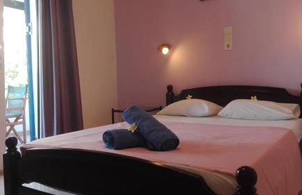 Plumeria Flowery - Foto 15