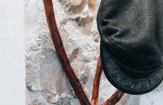 Olive Roots - Foto 35