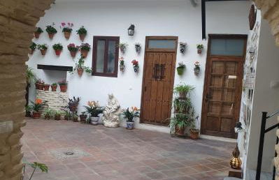 Entre patios y flores - Foto 30