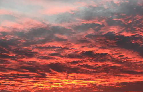 Ferienwohnung auf Pferdehof - Foto 31