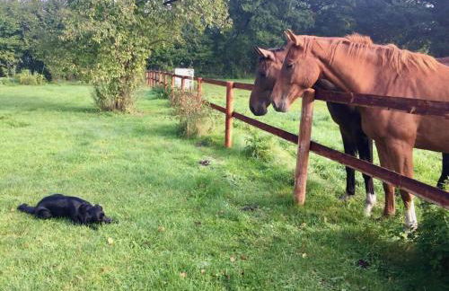 Holiday home with 2 bedrooms - Foto 33