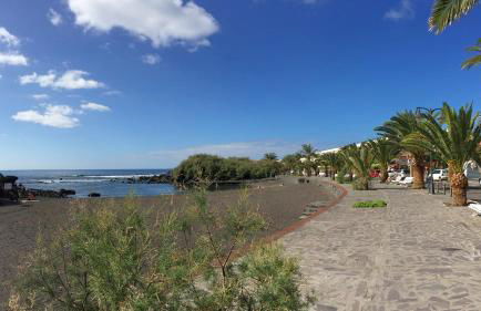 El BAJIO Nr 6 - Foto 63