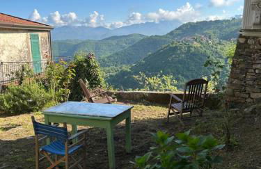 The orange house - Foto 11