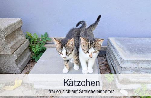 Bauernhof Finkel - Ferienwohnungen mit Balkon - Bergsicht - Traktor mitfahren - Tiere streicheln - entspannter Familienurlaub - zentrale Lage nahe Oberstdorf - Foto 62