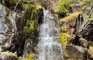 Mt Rainier Little Red Cabin - Foto 31