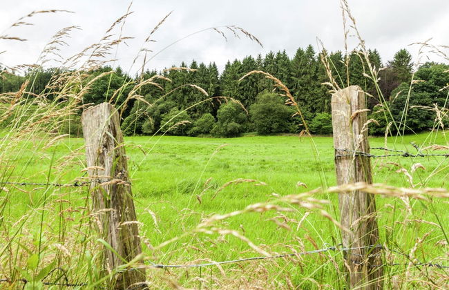 Cottage Near Durbuy Forest - Photo 32