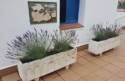 Lloret Apartments - Foto 37