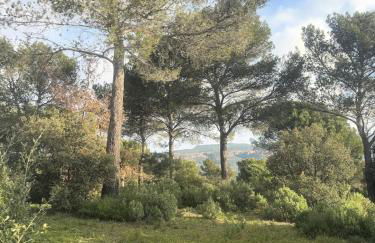 House Isabelle in Golf Saint Endreol, Provence, great view - Foto 25