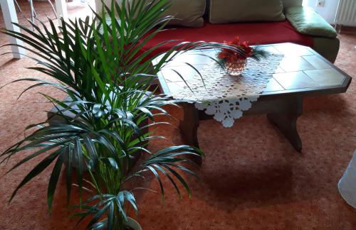 Zimmer und Apartment Rosi - Foto 22