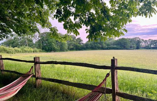 Motts Lodge - Photo 40