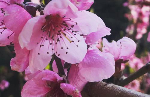 La Calade 1 bedroom Studio - Biot Village - Foto 34