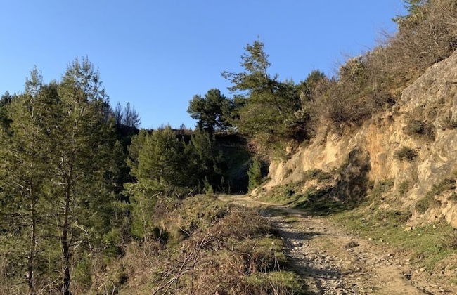 Florenc's Apartment - Foto 26